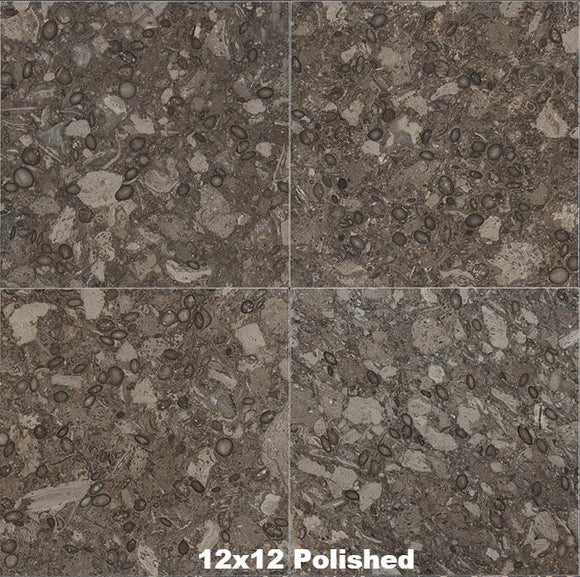 Fossil Brown Marble Tile 12x12 Polished