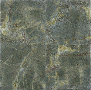 Verde Champagne Granite Tile 12x12 Polished